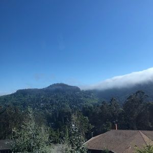 Meet your Posher, Jaxon